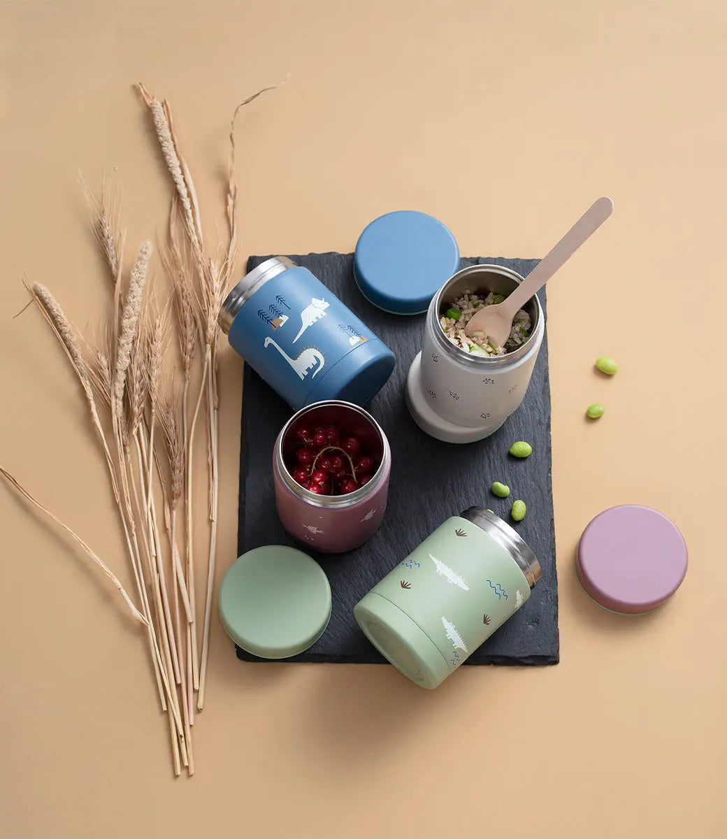 Thermos voedselcontainer 300ml - dino Fresk