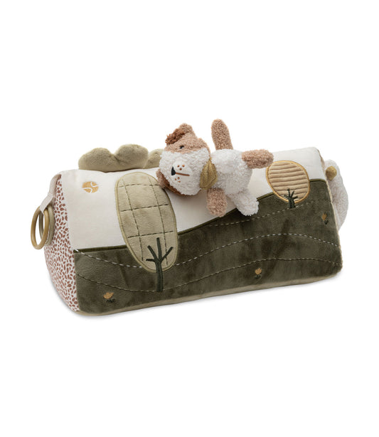 Activity cube - Kangaroots