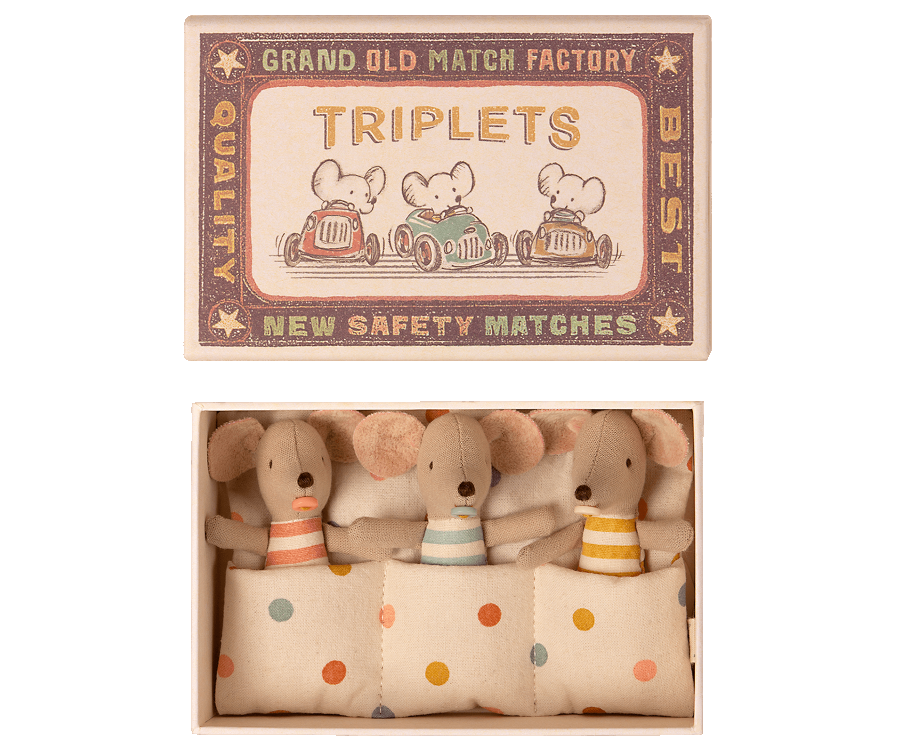 Triplets baby mice // in box