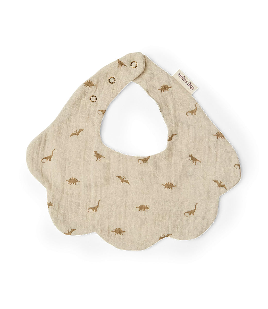Bib // Dinosaur oatmeal