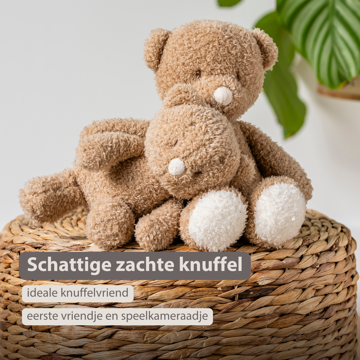 Knuffel Beer teddy