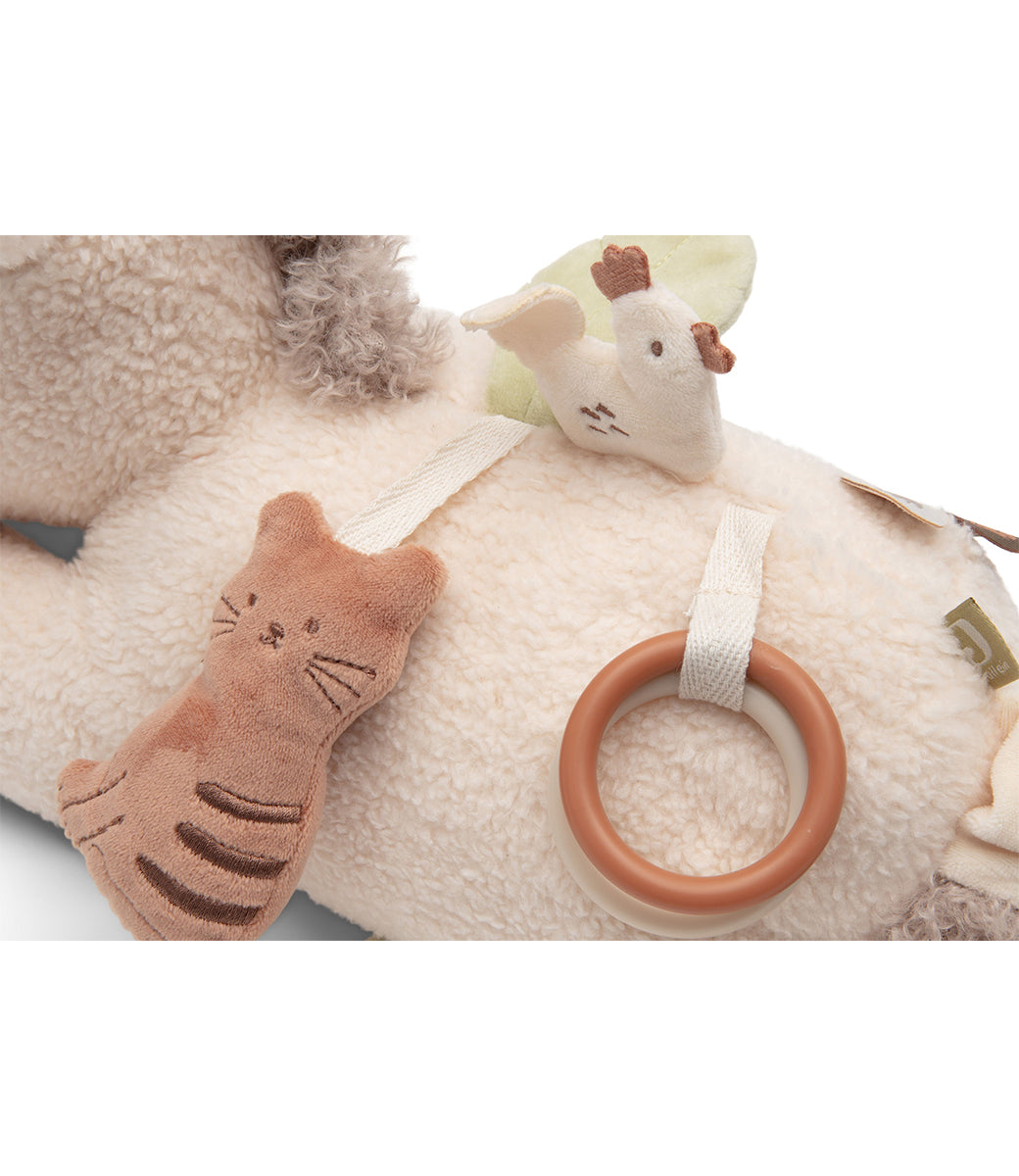 Activiteiten Knuffel - Donkey Dinky
