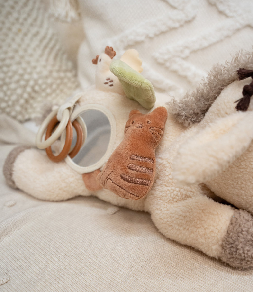 Activiteiten Knuffel - Donkey Dinky