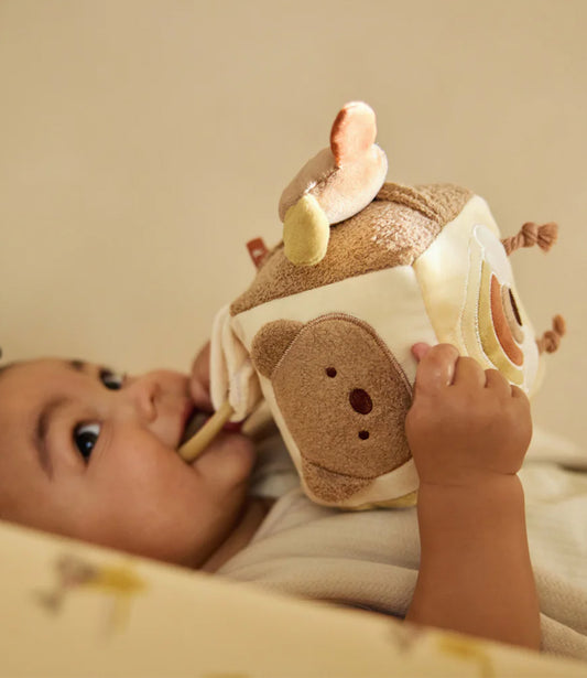 Activiteitenkubus - Kangaroots