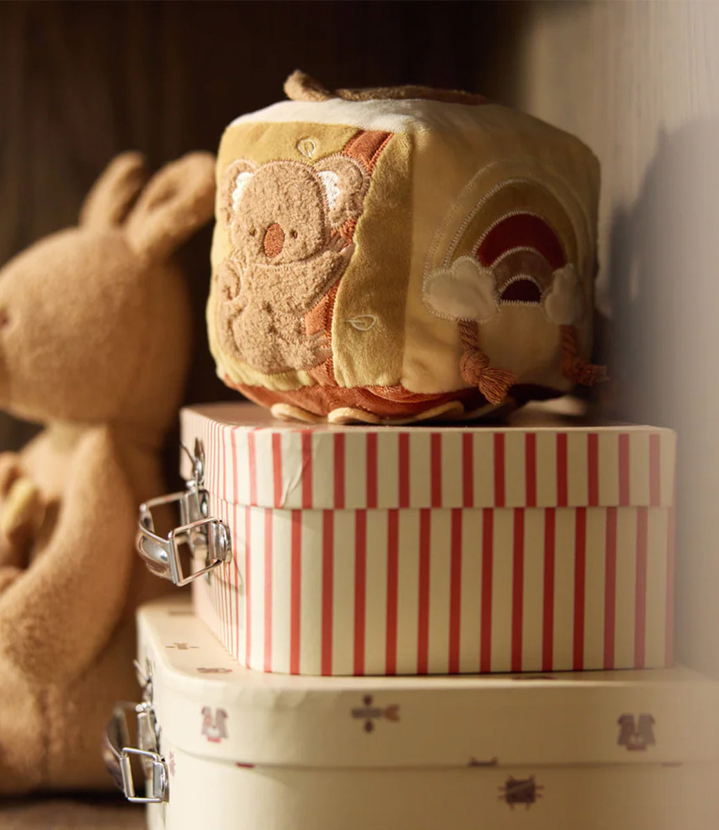 Activiteitenkubus - Kangaroots