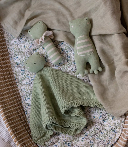 Knuffeldoekje // Frog Avery Row