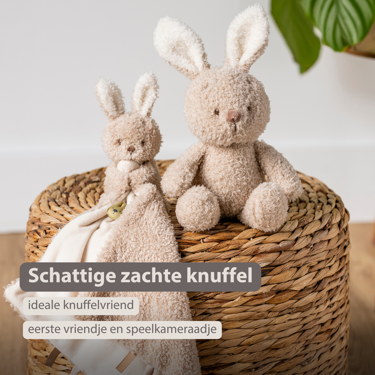 Knuffel Konijn Teddy
