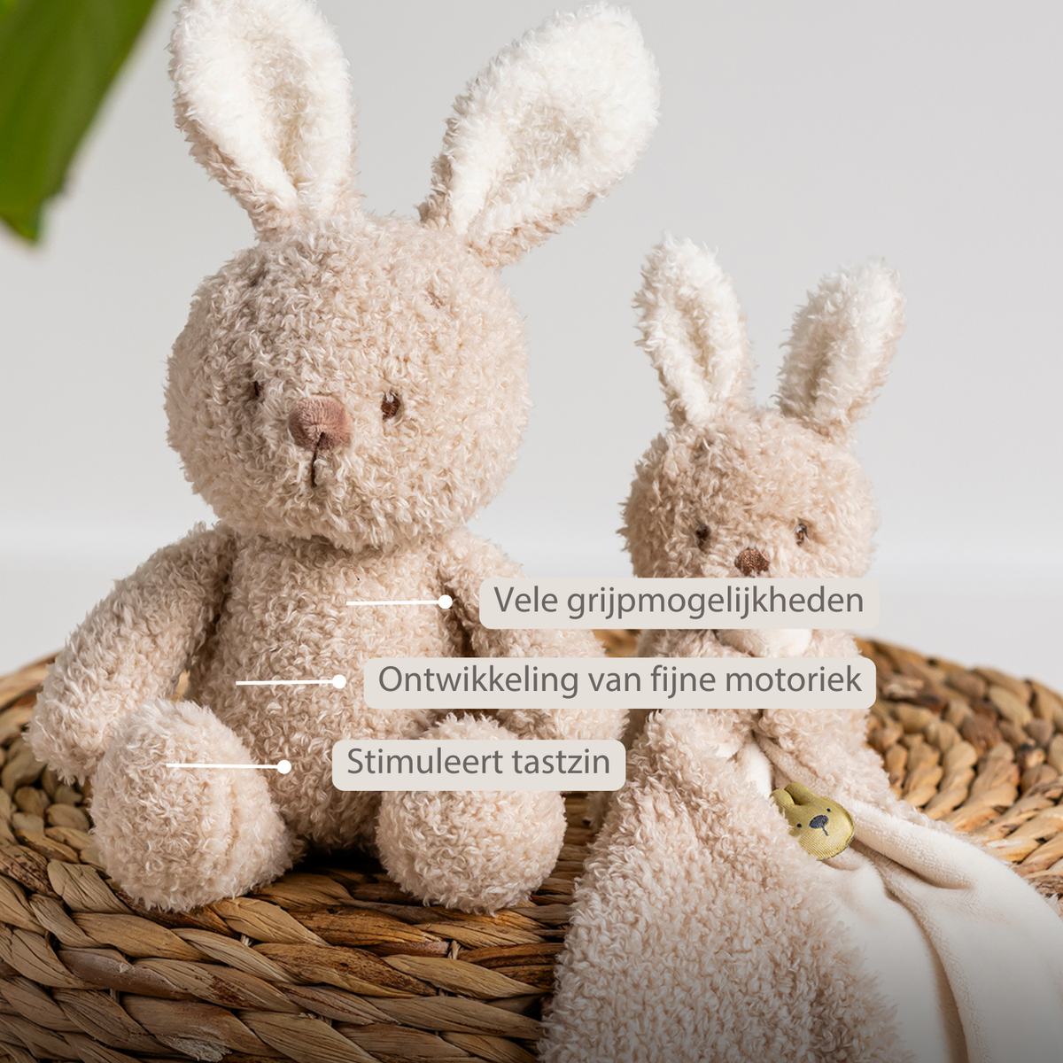 Knuffel Konijn Teddy