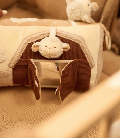 Activity cube - Kangaroots