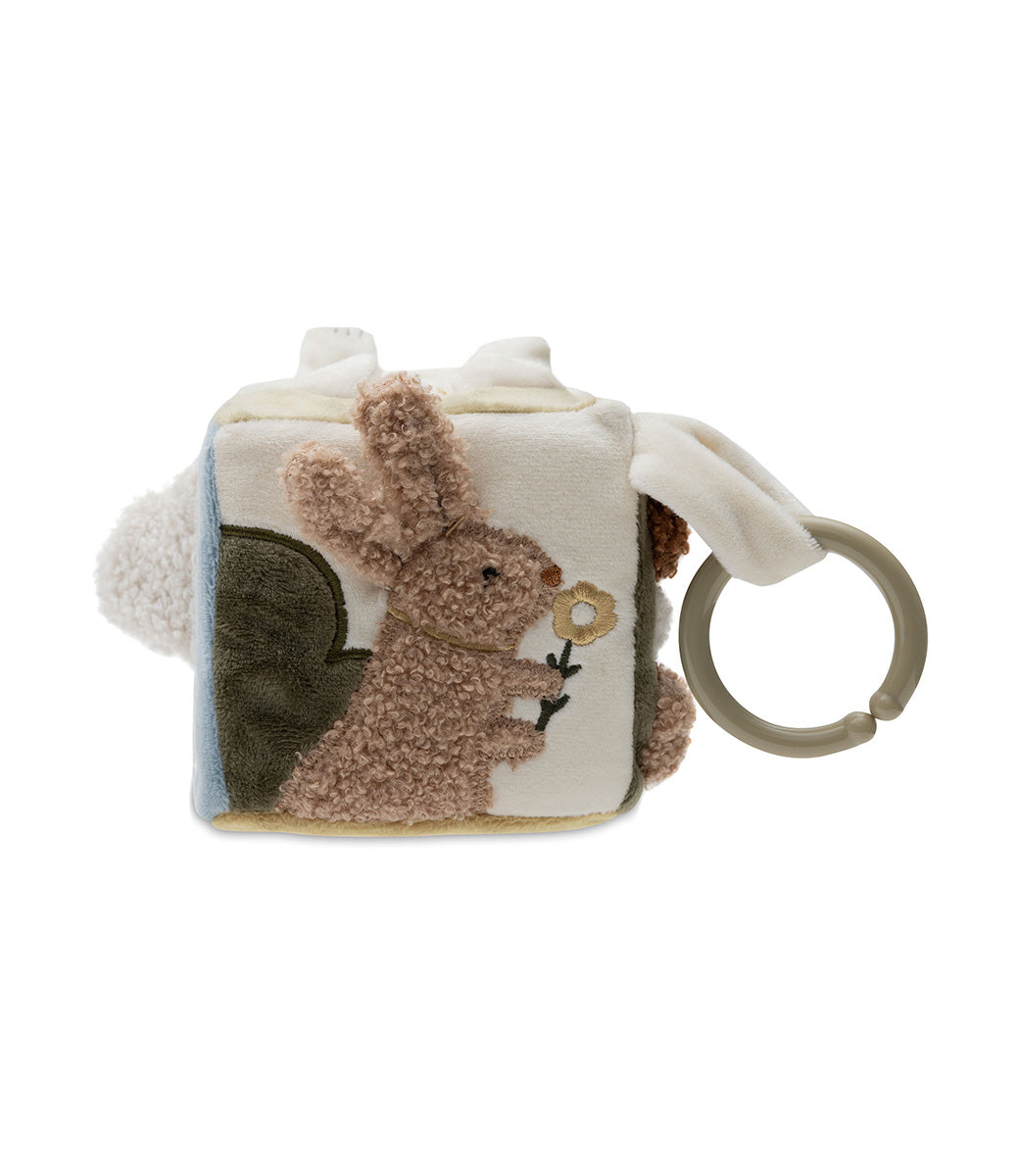 Activity cube - Kangaroots