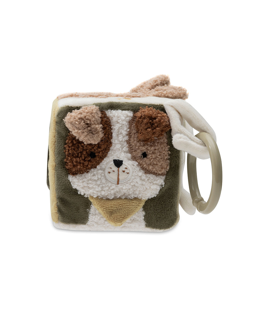 Activity cube - Kangaroots