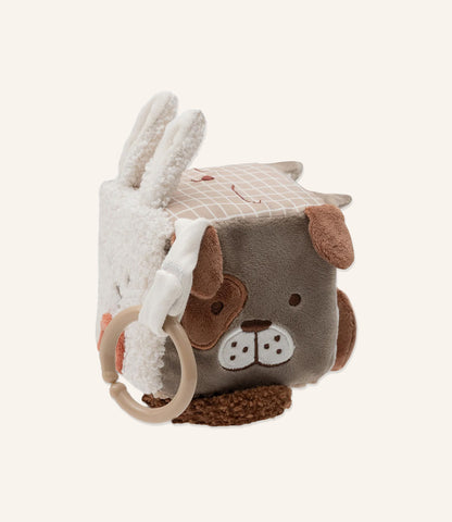 Activity cube - Kangaroots