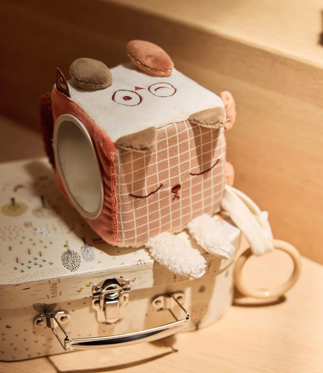 Activity cube - Kangaroots