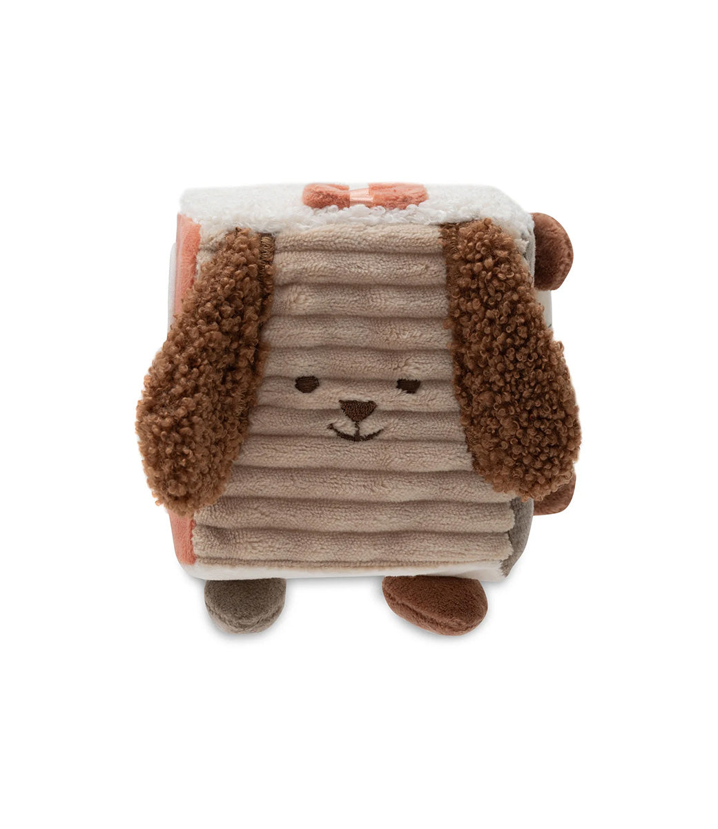 Activity cube - Kangaroots