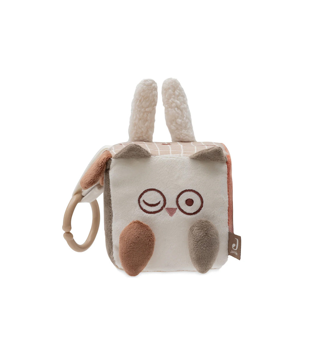 Activity cube - Kangaroots