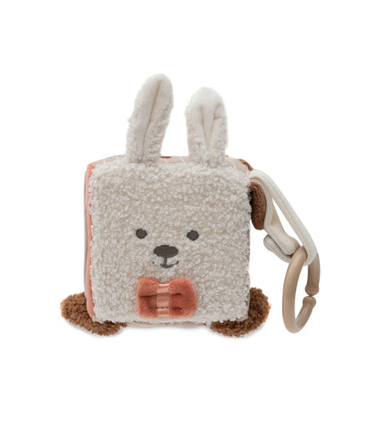 Activity cube - Kangaroots