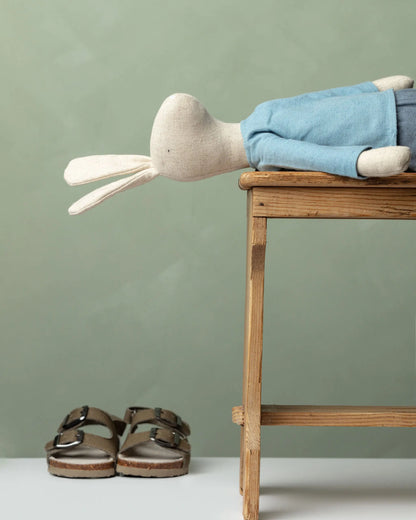 Knuffel - Rabbit boy Mr. Pickles