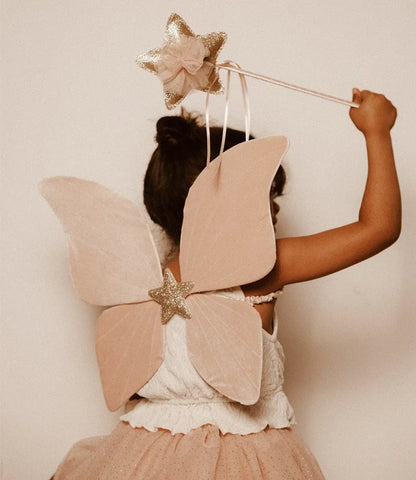 The pink butterfly // Wings Mrs. Ertha