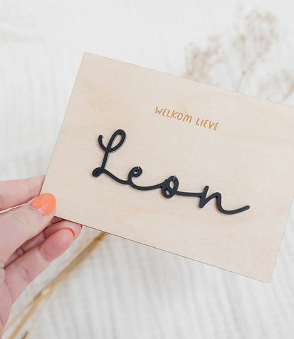 Mini naam World of Mina